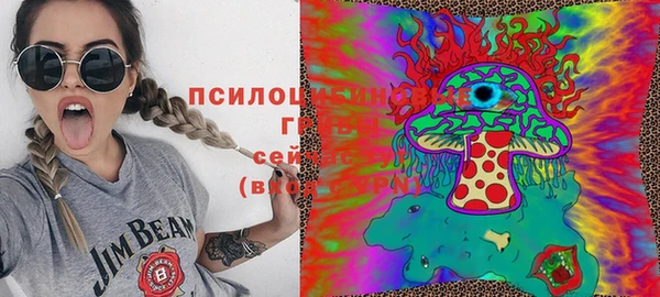 альфа пвп Верхнеуральск